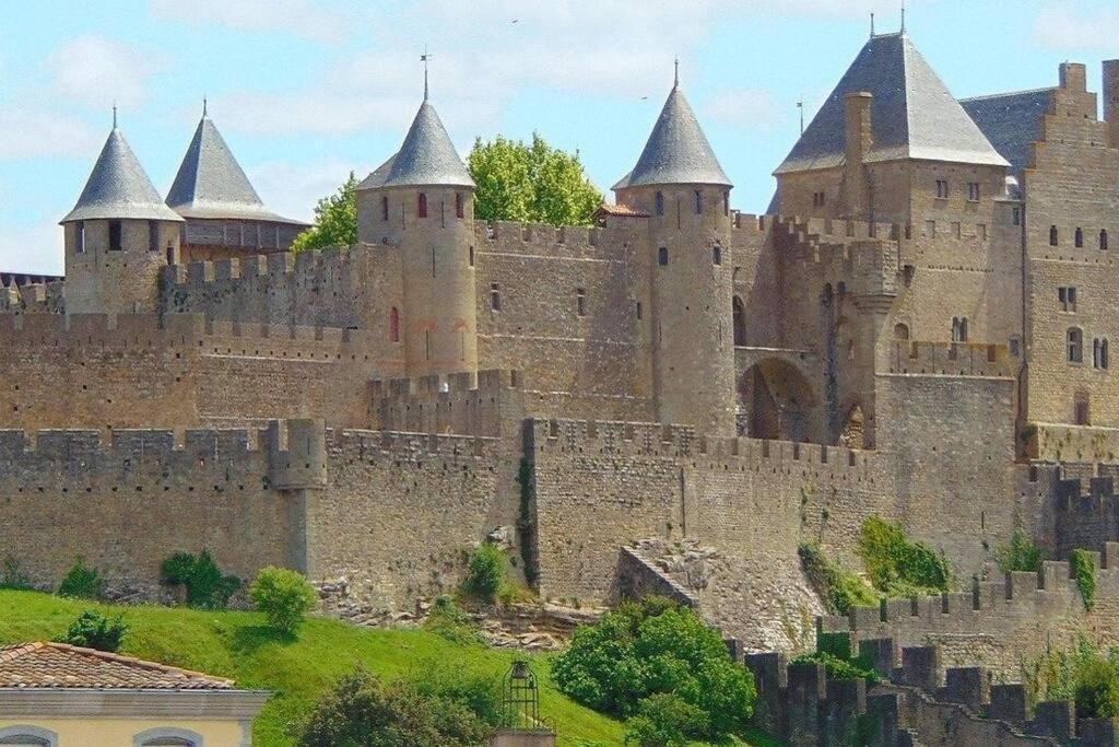 Spacieux Appartement Au Pied De La Cite Medievale Carcassonne Buitenkant foto