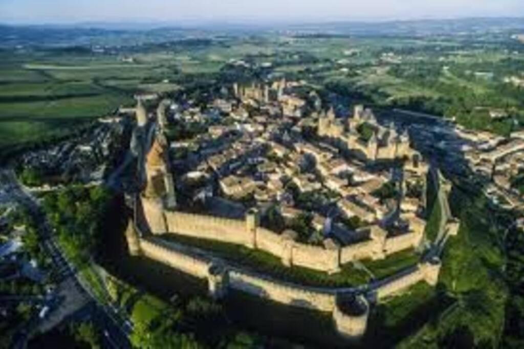 Spacieux Appartement Au Pied De La Cite Medievale Carcassonne Buitenkant foto