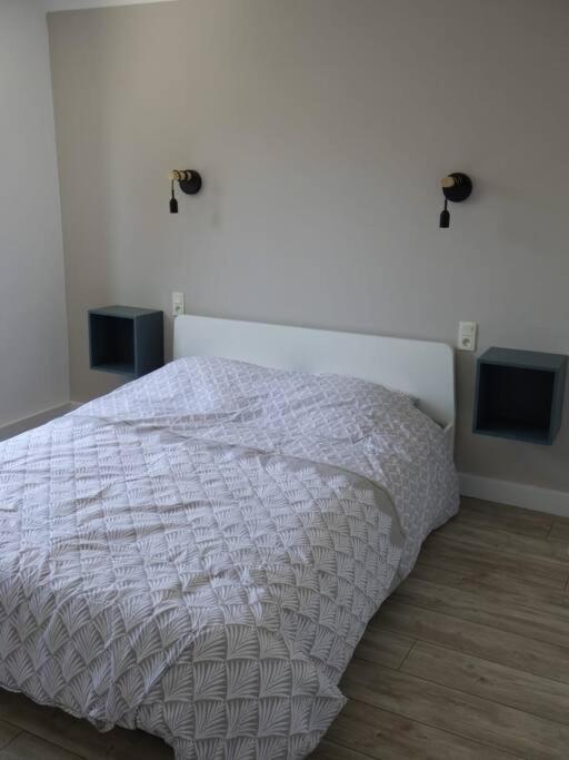 Spacieux Appartement Au Pied De La Cite Medievale Carcassonne Buitenkant foto