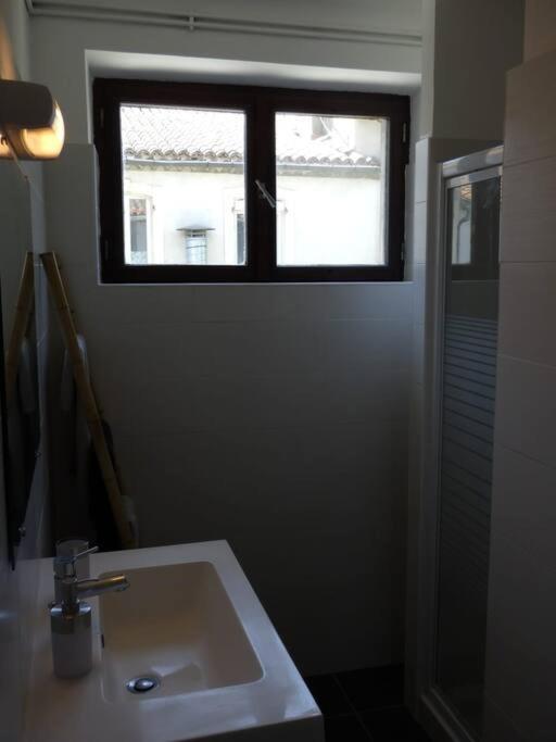 Spacieux Appartement Au Pied De La Cite Medievale Carcassonne Buitenkant foto